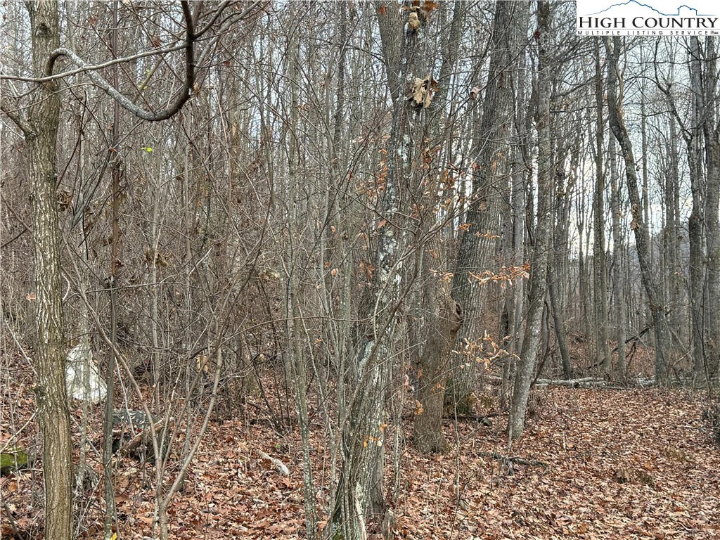 Image number 18 for the current listing