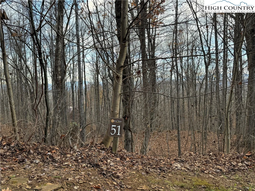 Image number 15 for the current listing
