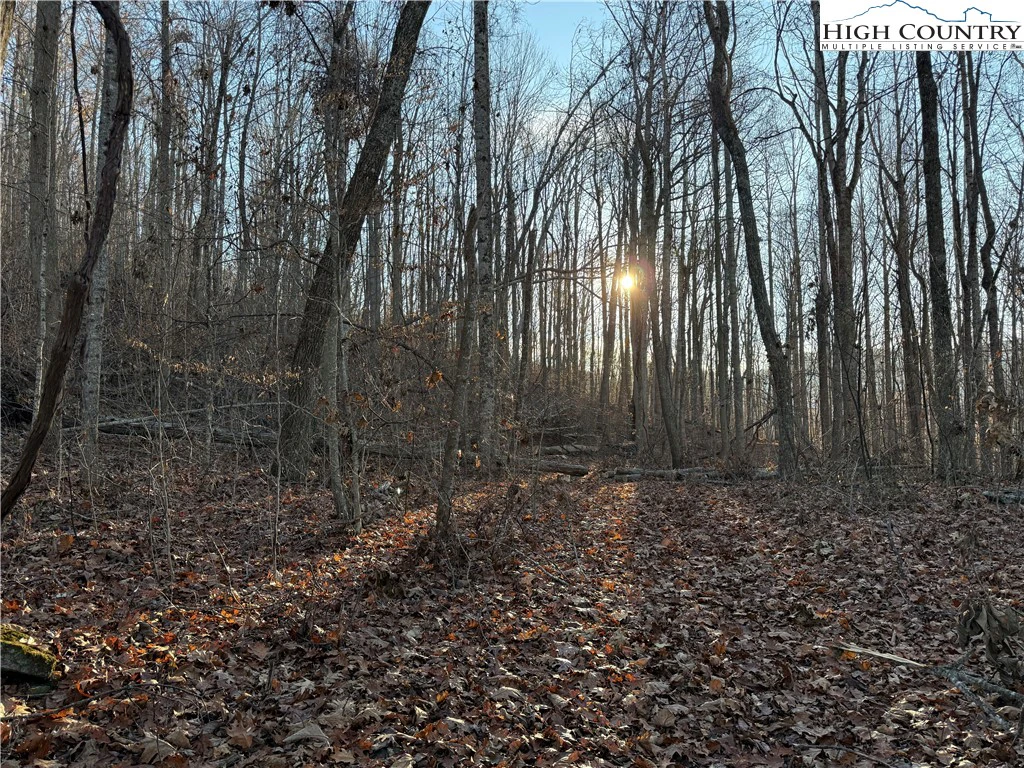 Image number 2 for the current listing