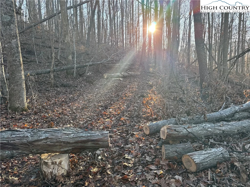 Image number 14 for the current listing