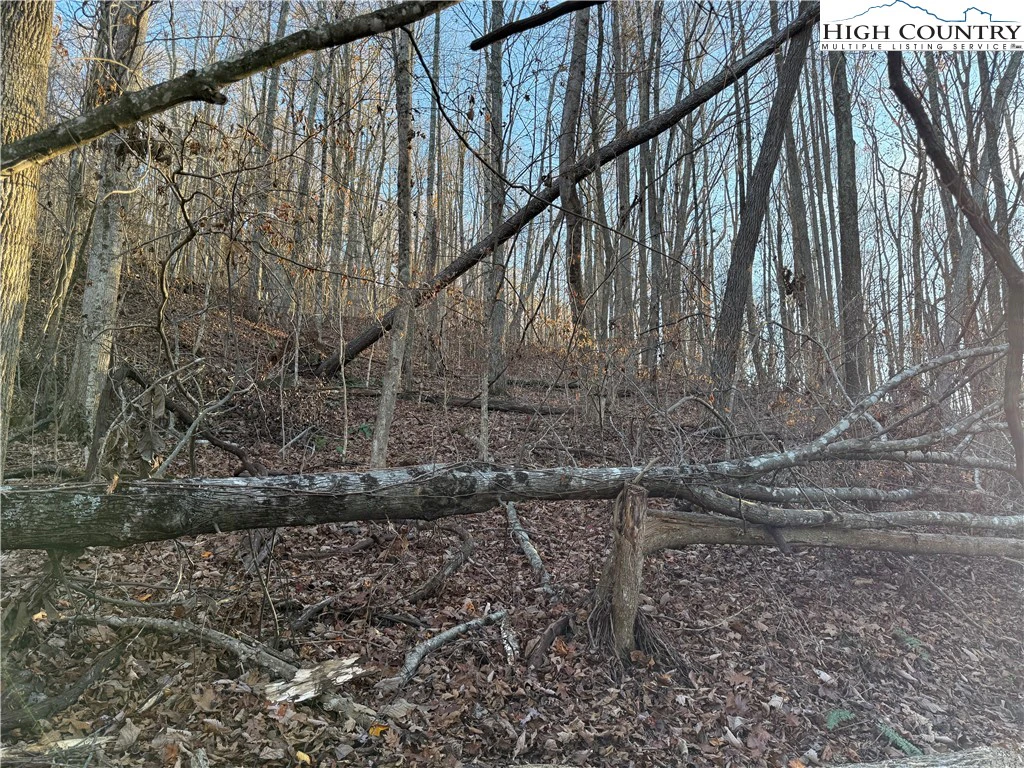 Image number 12 for the current listing