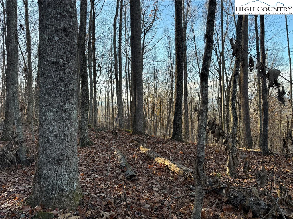 Image number 9 for the current listing
