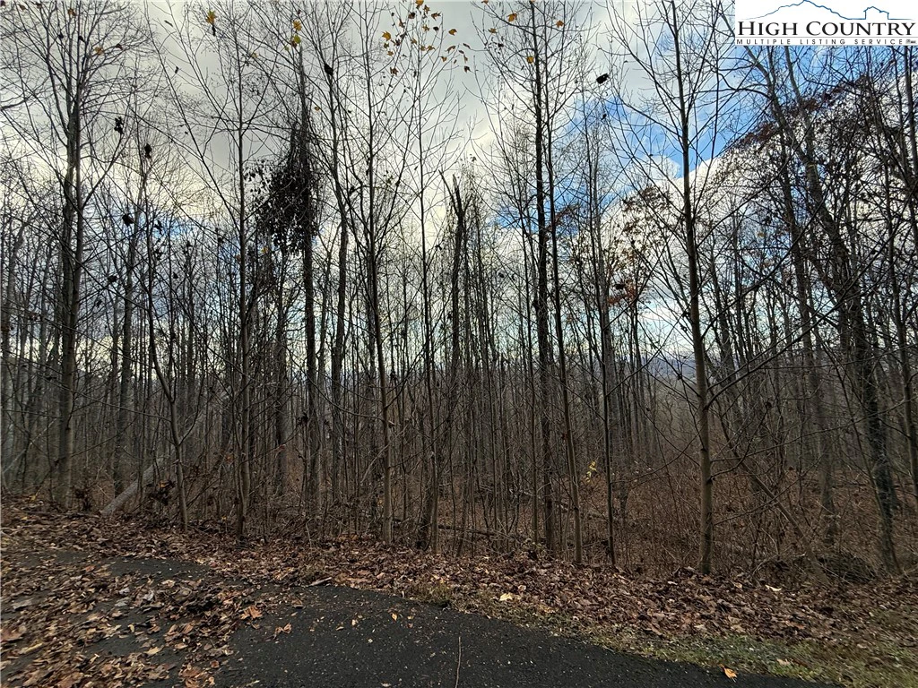 Image number 5 for the current listing