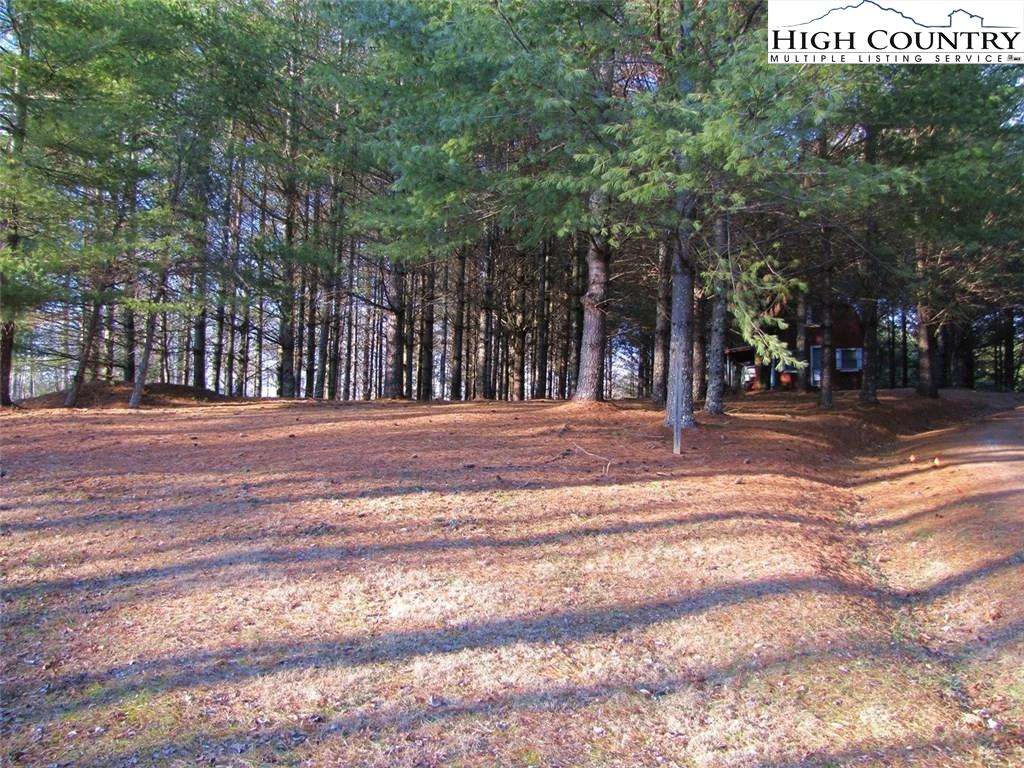 Image number 1 for the current listing