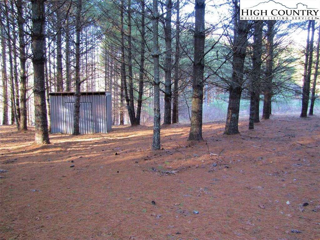 Image number 11 for the current listing