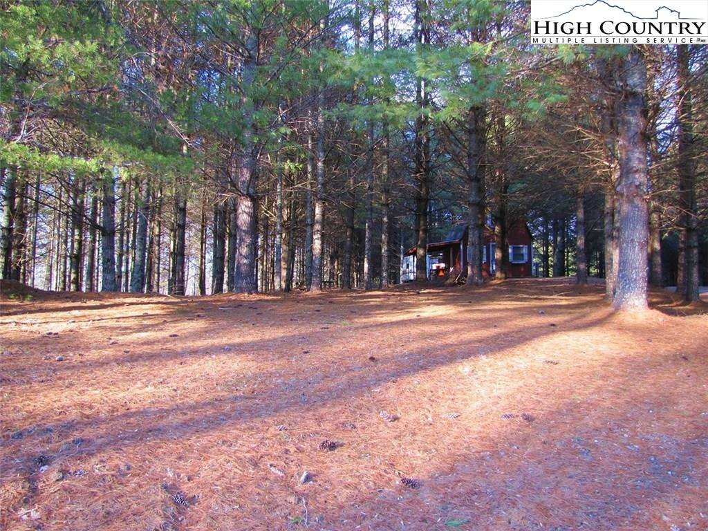 Image number 3 for the current listing