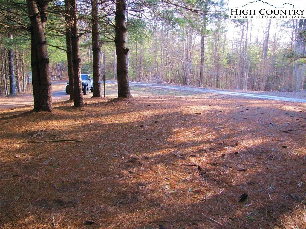Image number 4 for the current listing