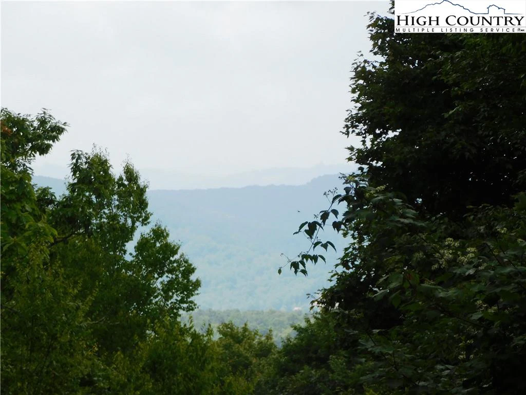 Image number 1 for the current listing