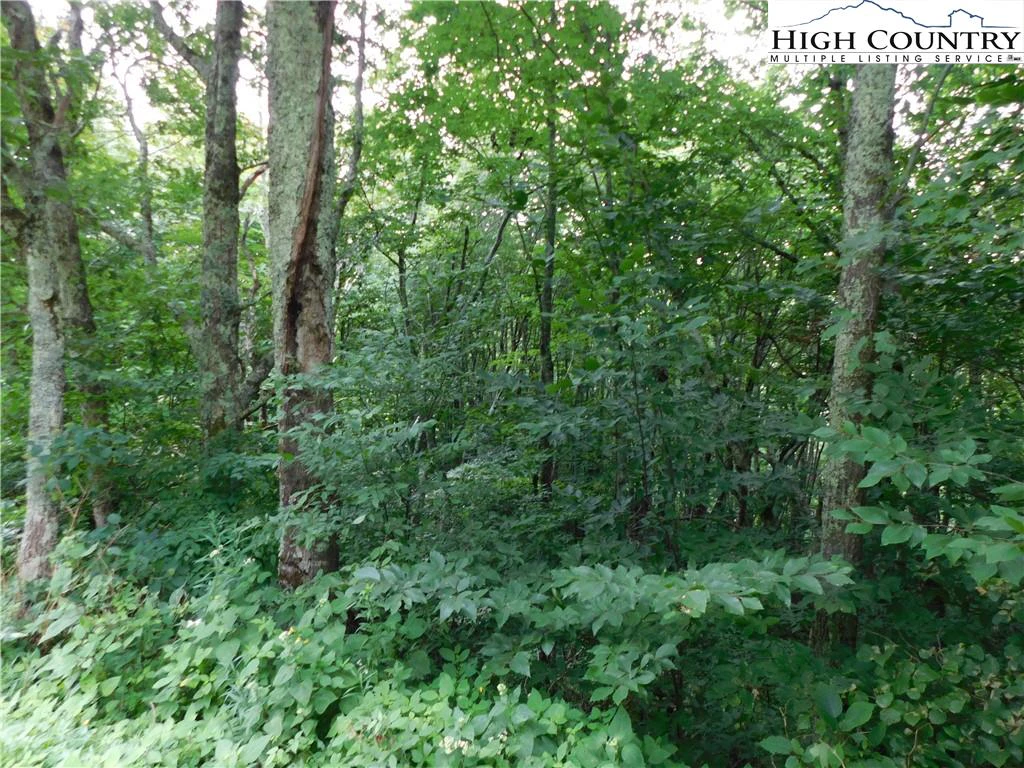 Image number 4 for the current listing