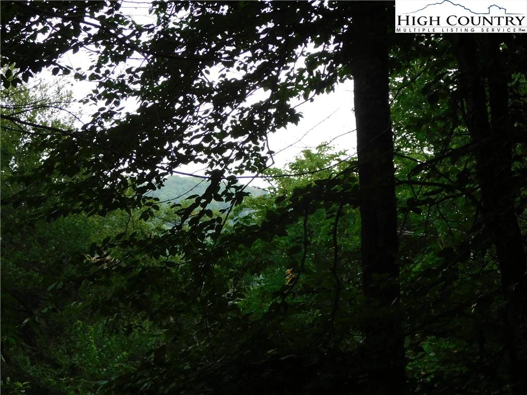 Image number 7 for the current listing