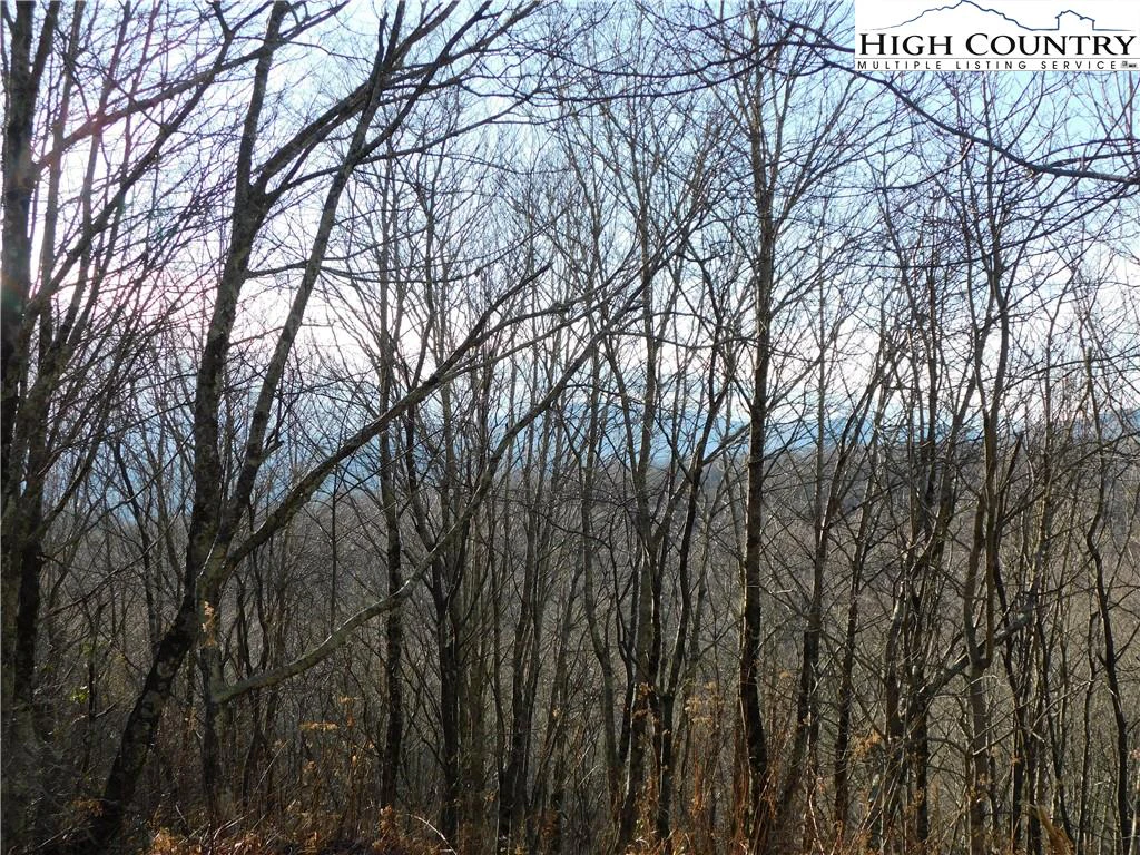 Image number 8 for the current listing