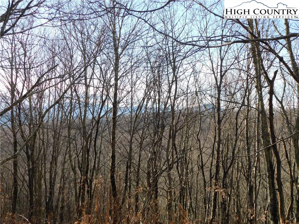 Image number 9 for the current listing