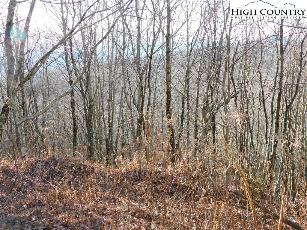 Image number 10 for the current listing
