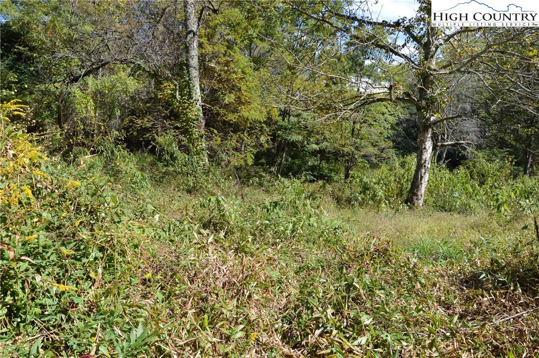Image number 10 for the current listing