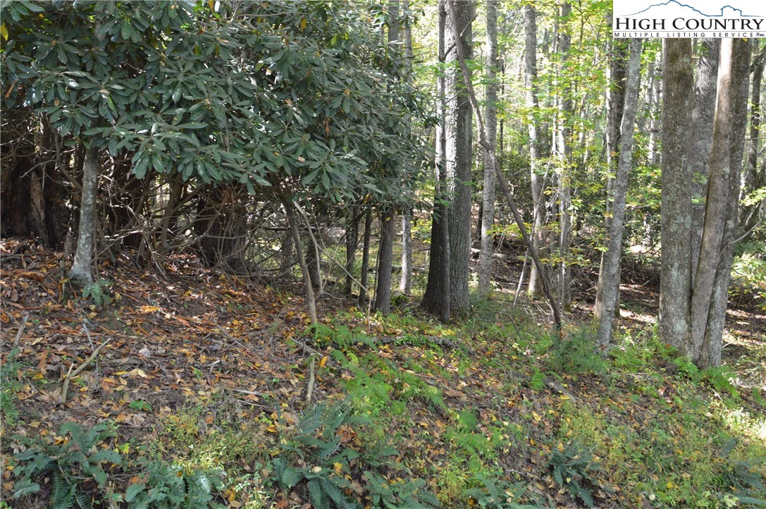 Image number 12 for the current listing