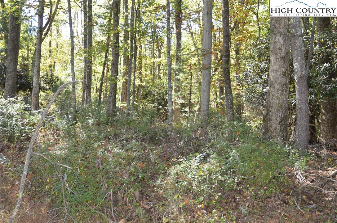 Image number 2 for the current listing