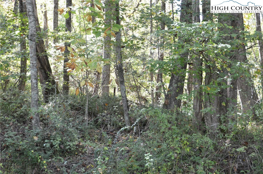Image number 17 for the current listing