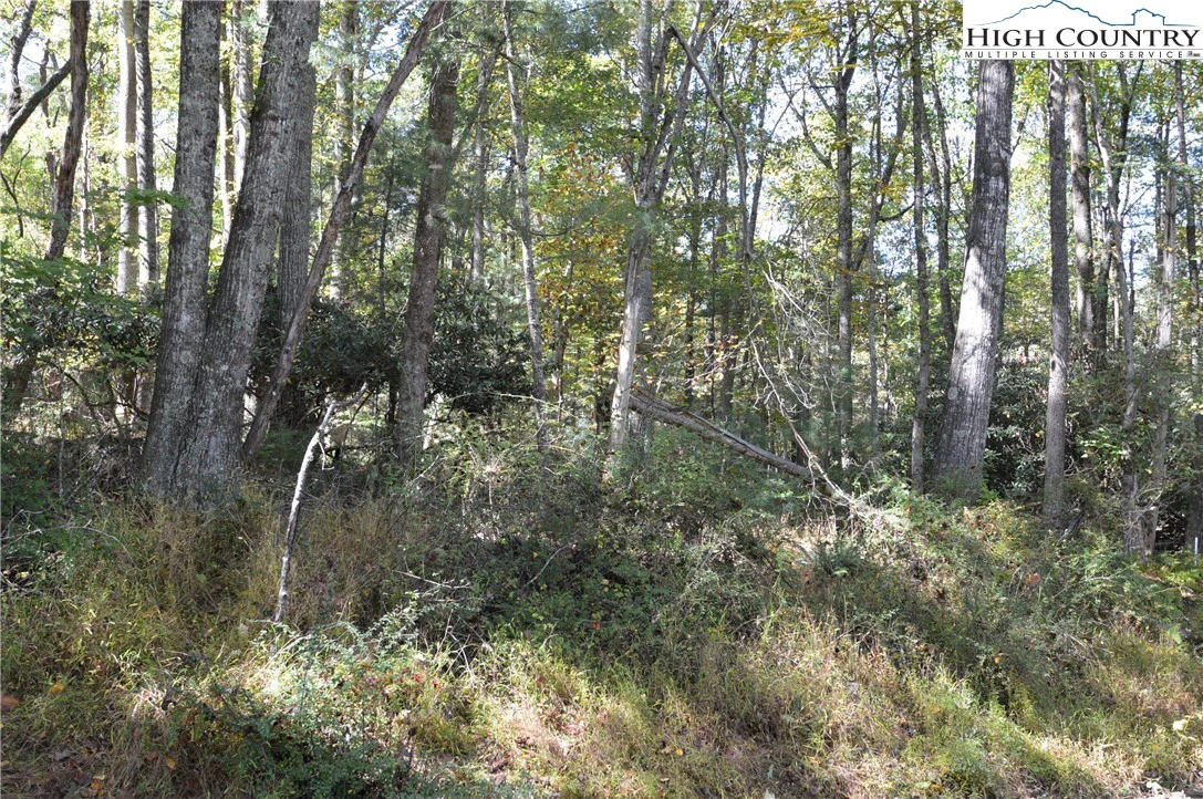 Image number 18 for the current listing