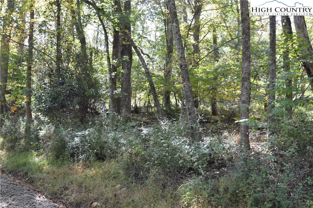 Image number 19 for the current listing
