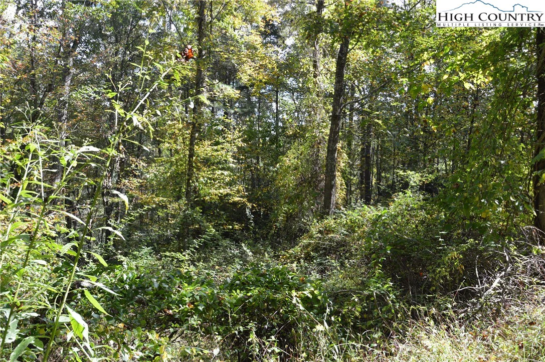 Image number 21 for the current listing