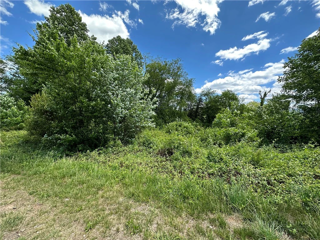 Image number 3 for the current listing