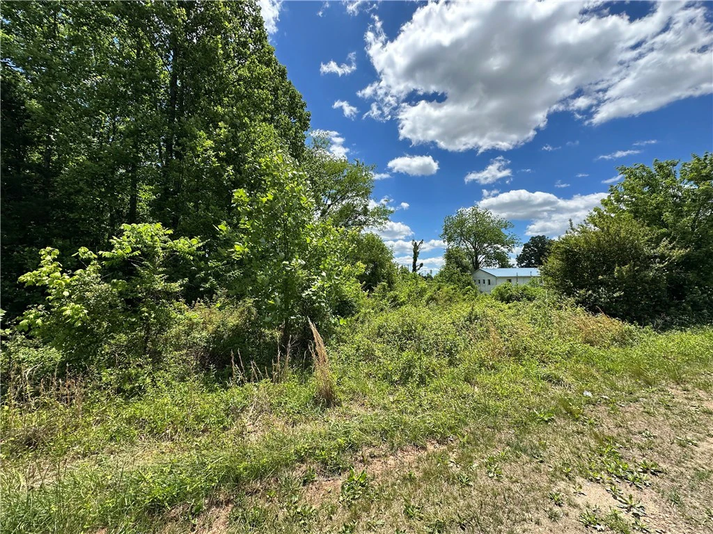 Image number 4 for the current listing