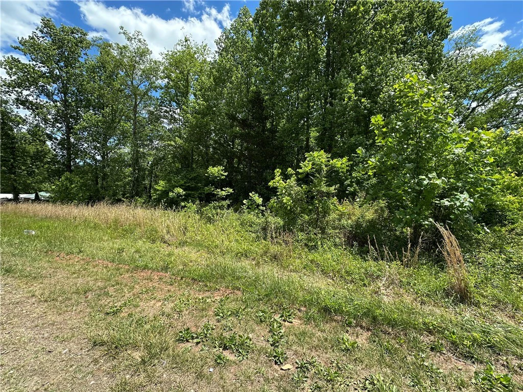 Image number 5 for the current listing