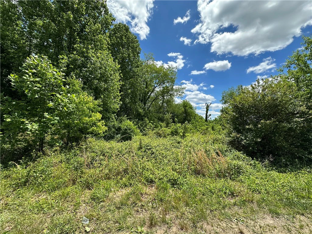 Image number 6 for the current listing