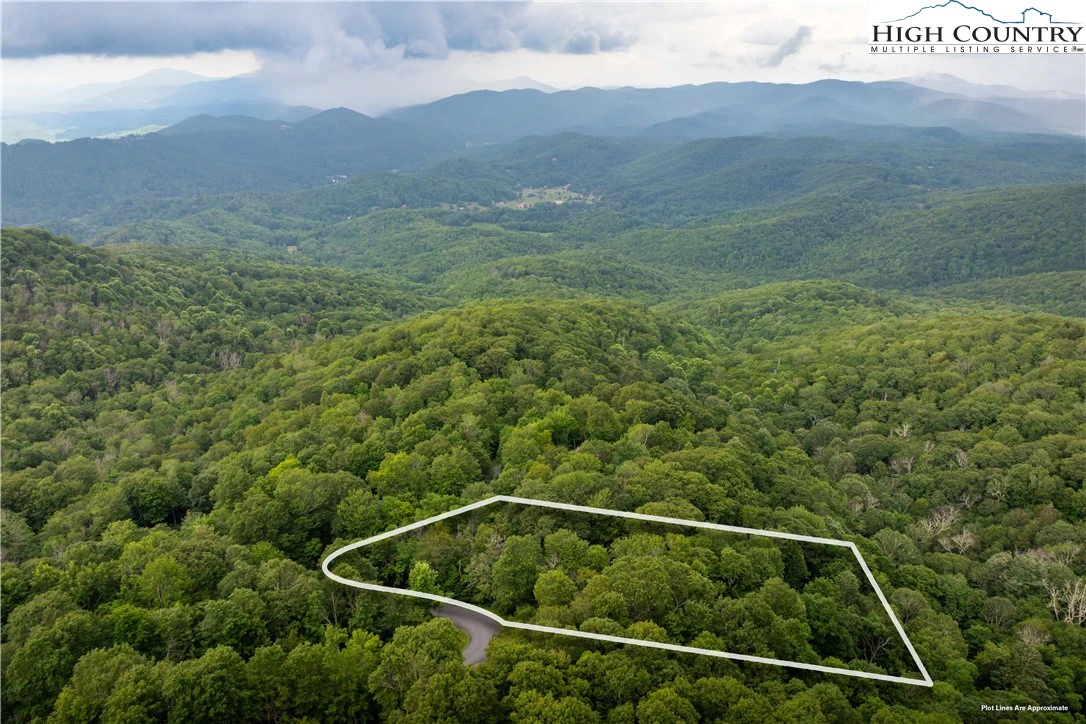 Image number 5 for the current listing