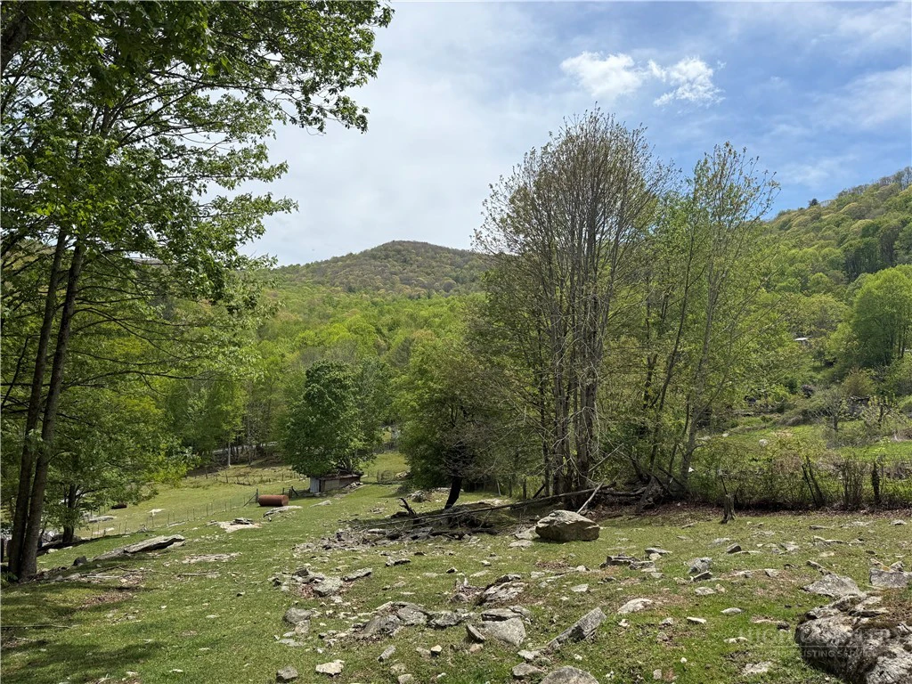 Image number 1 for the current listing
