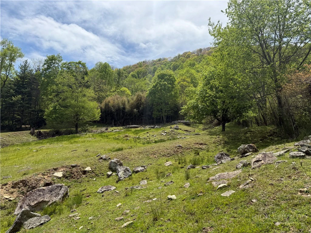 Image number 17 for the current listing