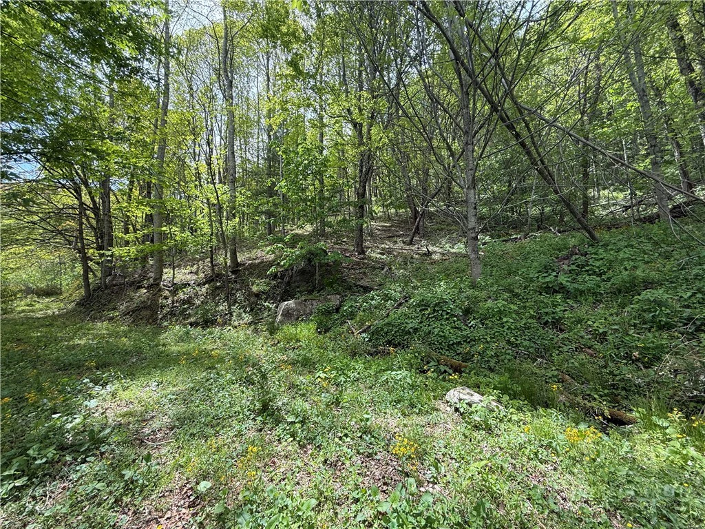 Image number 14 for the current listing