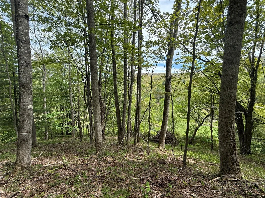 Image number 12 for the current listing