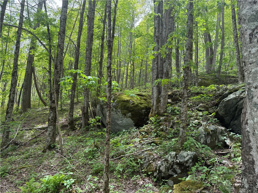 Image number 11 for the current listing
