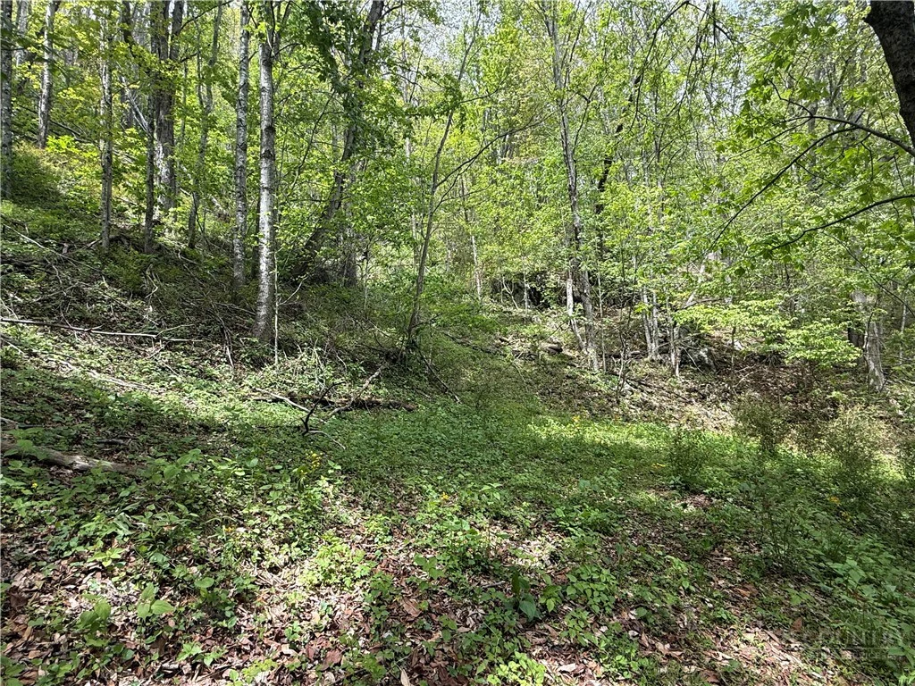 Image number 9 for the current listing