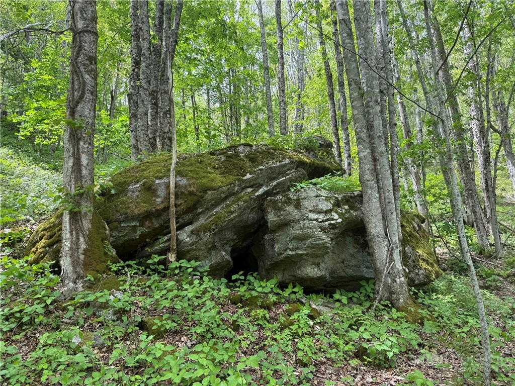 Image number 7 for the current listing