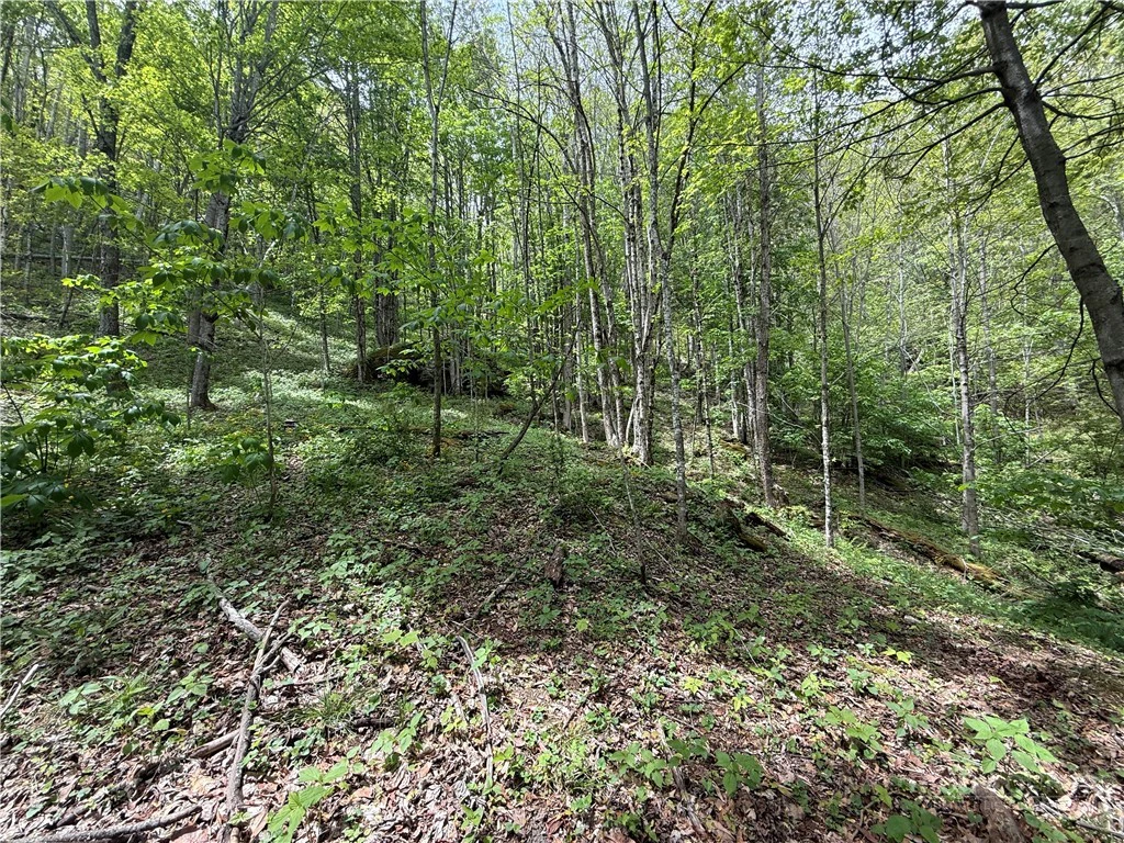 Image number 6 for the current listing