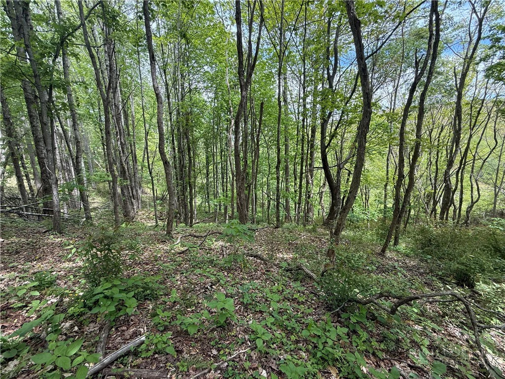 Image number 5 for the current listing