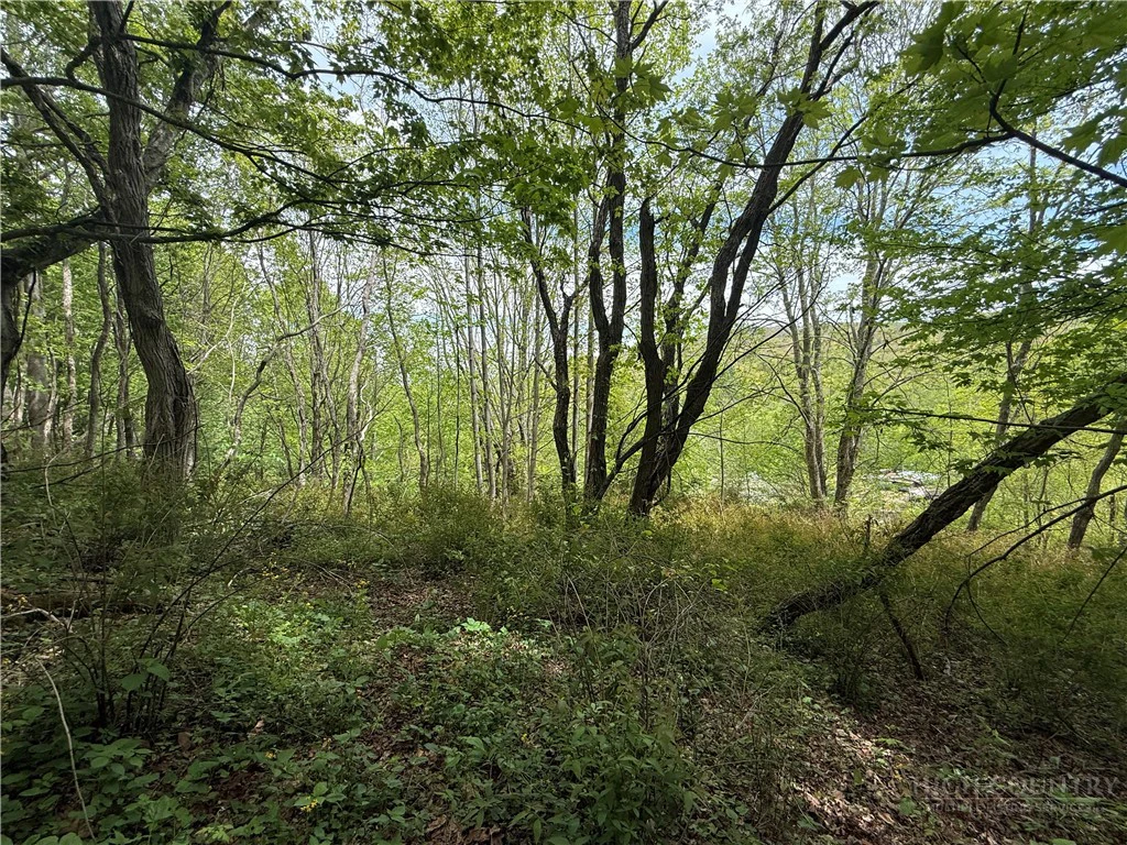 Image number 4 for the current listing