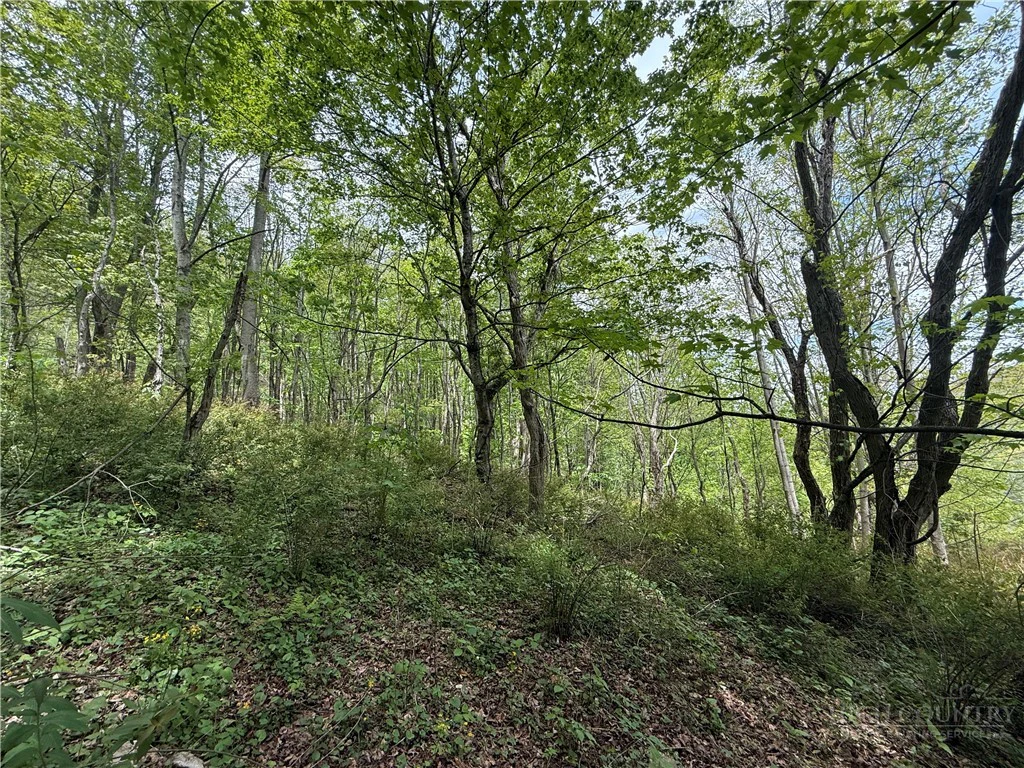 Image number 3 for the current listing