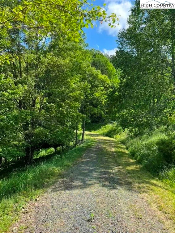 Image number 4 for the current listing