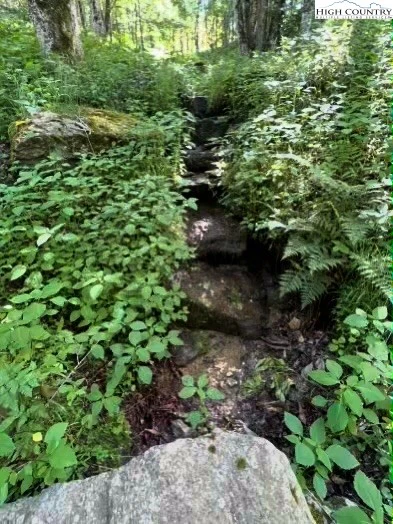 Image number 6 for the current listing