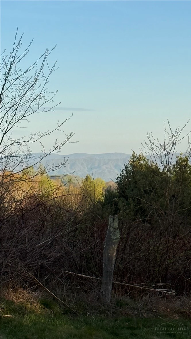 Image number 7 for the current listing