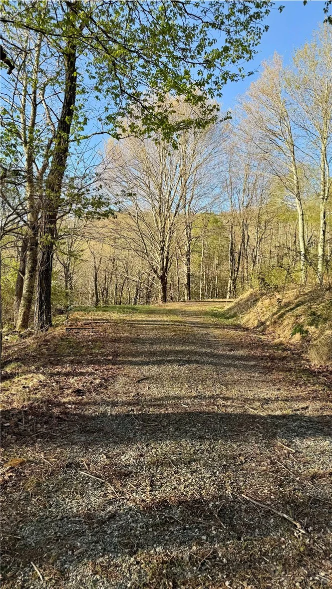 Image number 1 for the current listing