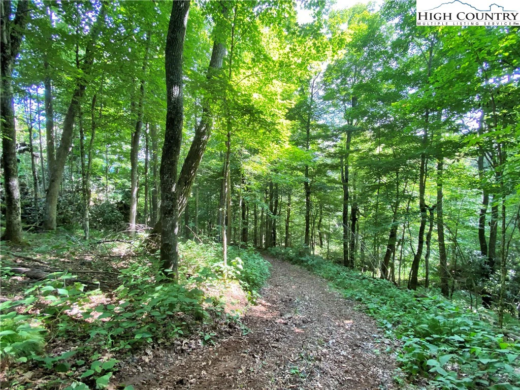 Image number 6 for the current listing