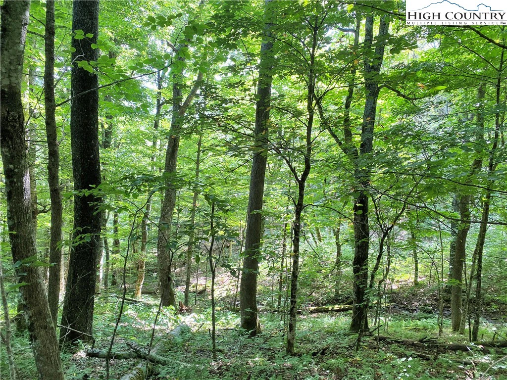 Image number 1 for the current listing