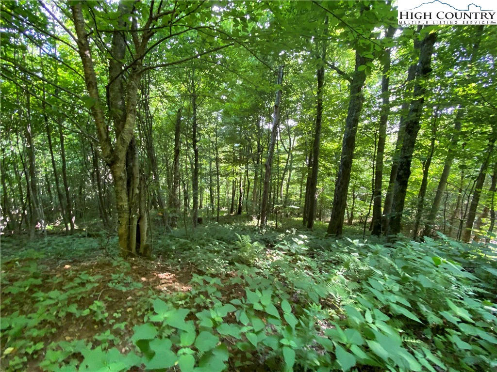 Image number 3 for the current listing