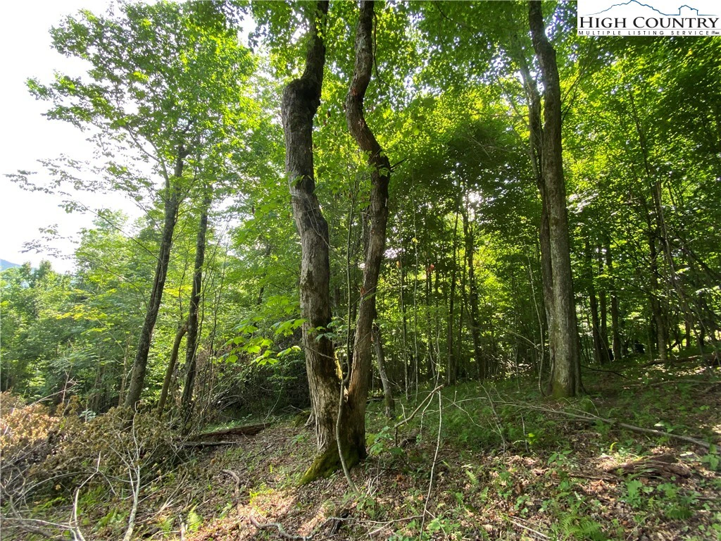 Image number 13 for the current listing