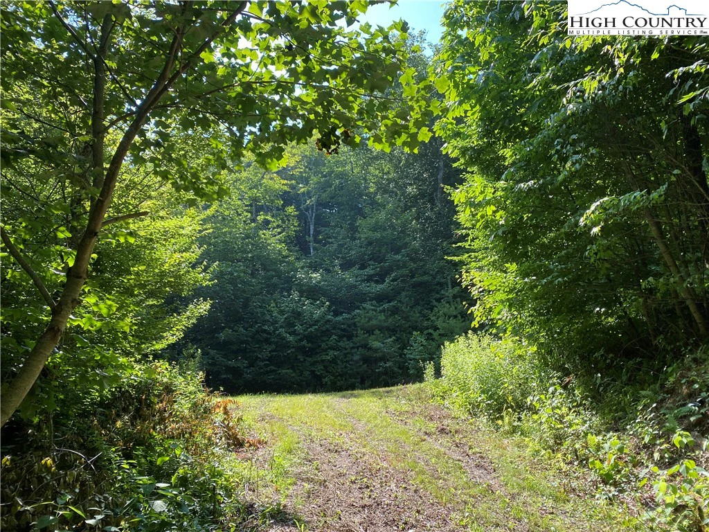 Image number 14 for the current listing
