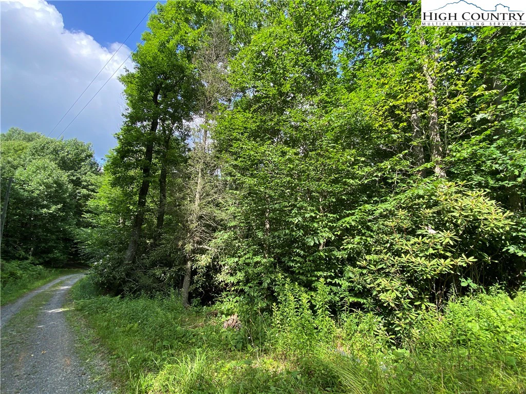 Image number 5 for the current listing